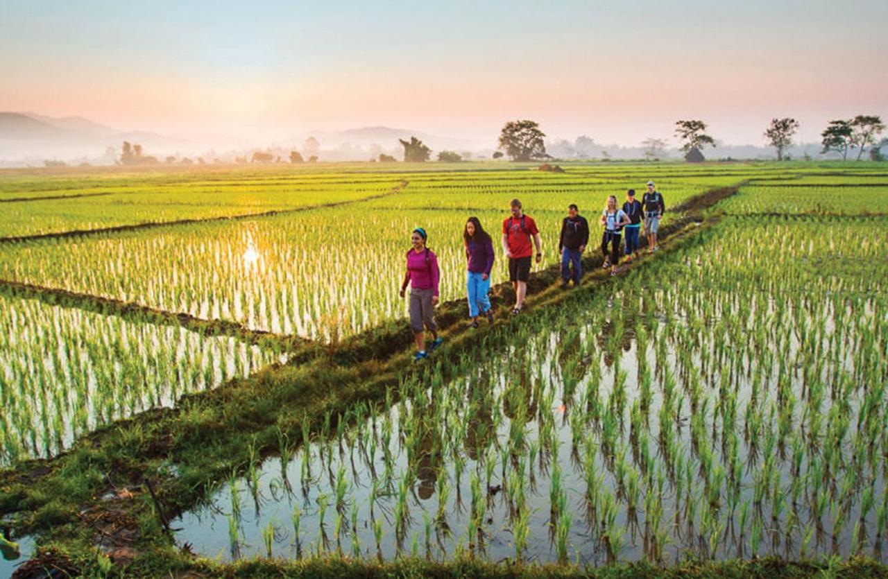 Goya Boutique Resort Ubud Exterior foto Rice fields in Vietnam